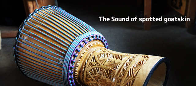 メリナの実力（Mali Merina 34.5cm） - TDF『東京のジェンベ販売・張替